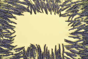 Lavender flowers border frame on the yellow background. Top view. Copy space.