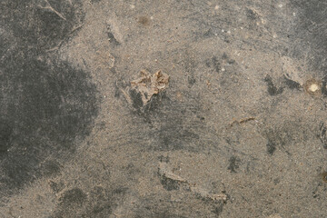 Close-up photograph of a gray, textured surface. Classic, elegant and charming textured background photo for banner background.