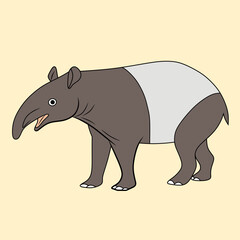 Cute friendly wild animal, black and white tapir.