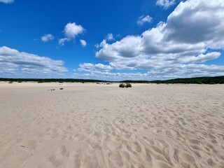 Bledow Desert (Pustynia Błędowska) is an area of sands and gravels located between Błędów and the villages of Chechło and Klucze in Poland. 