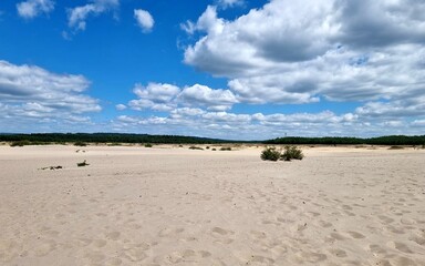 Bledow Desert (Pustynia Błędowska) is an area of sands and gravels located between Błędów and the villages of Chechło and Klucze in Poland. 