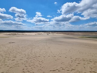 Bledow Desert (Pustynia Błędowska) is an area of sands and gravels located between Błędów and the villages of Chechło and Klucze in Poland. 