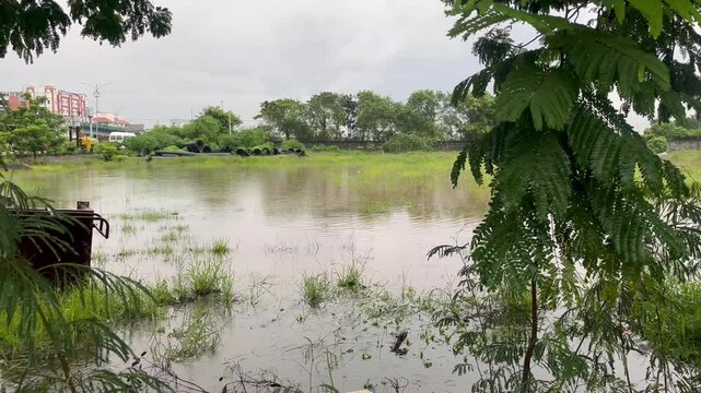 Wide Wetland With Trees Captured In Natural Daylight.