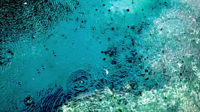 Rainwater Hitting Surface Of Chemically Contaminated Puddle Water.