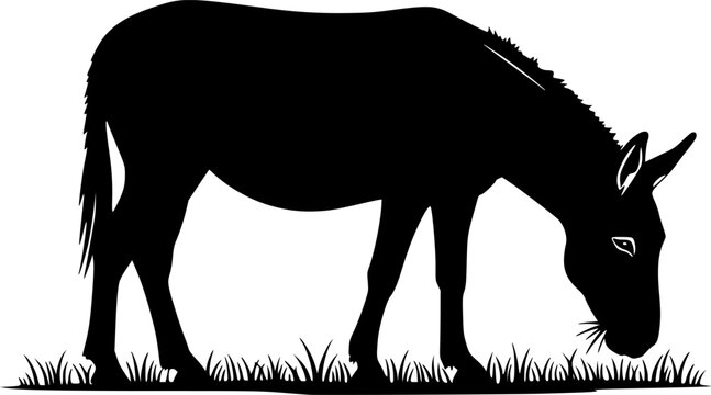 mule eat grass line art silhouette vector illustration
