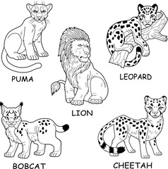 wild cats vector images set