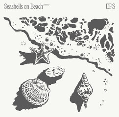 Seashells and Starfish on a Beautiful Beach An Enchanting and Captivating EPS Artwork