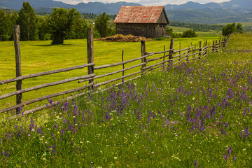 Old Wooden Fence at Traditional Mountain Farms in Romania – Rural Animal Keeping and Agricultural...