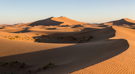 Golden sunlight illuminates the rolling sand dunes of a vast desert landscape