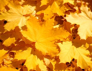 yellow, autumn leaves on the ground background AI generated