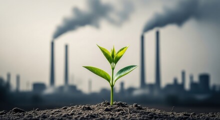 A vibrant green sapling sprouting from dark soil, with a blurred backdrop of industrial factory smokestacks emitting pollution, symbolizing environmental hope and the challenge of industrial impact.