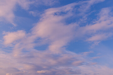 朝空