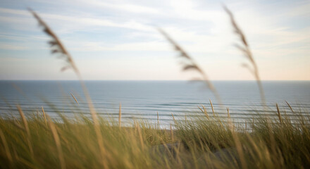 Golden grass sways gently in the breeze, framing a view of the calm ocean waves on a sunny day