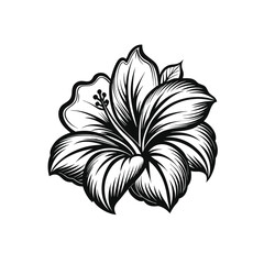 Elegant hibiscus flower in smooth vector line art, black ink style on white canvas in Adobe Illustrator Artwork