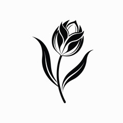 Stylized tulip in delicate black and white silhouette style with flowing stem and leaf design, high contrast  isolated on white background in Adobe Illustrator Artwork