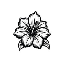 Elegant hibiscus flower in smooth vector line art, black ink style on white canvas in Adobe Illustrator Artwork