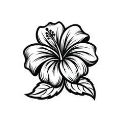 Elegant hibiscus flower in smooth vector line art, black ink style on white canvas in Adobe Illustrator Artwork