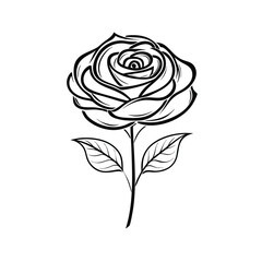 Elegant white line art of a single rose in full bloom on white background, with stylized botanical details in Adobe Illustrator Artwork