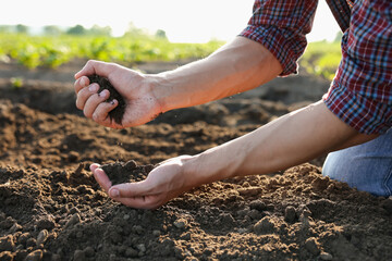 Man holding pile of soil in field, closeup