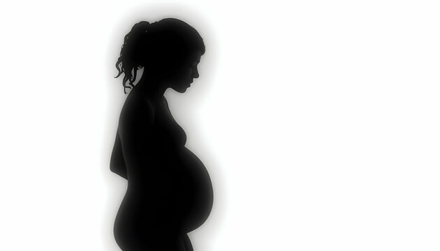 Pregnant Woman Silhouette on White Background