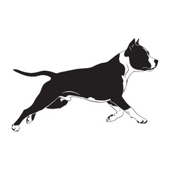 A simple American Staffordshire Terrier digital black silhouette, easy to integrate into layouts - American Staffordshire Terrier silhouette - Amstaff Vector - Silhouette of Amstaff - dog silhouette

