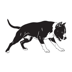Presenting a defined American Staffordshire Terrier digital black image, with sharp lines - American Staffordshire Terrier silhouette - Amstaff Vector - Silhouette of Amstaff - dog vector

