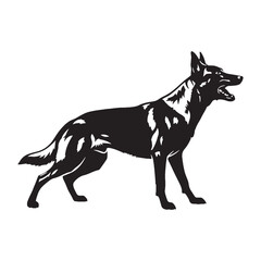 Presenting a standard Belgian Malinois digital black vector, easy to use - Belgian Malinois silhouette - Belgian Malinois Vector - Silhouette of Belgian Malinois - dog vector

