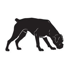 Presenting a defined Boxer digital black image, with sharp, recognizable lines - Boxer silhouette - Boxer Vector - Silhouette of Boxer - dog vector

