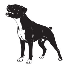 An exceptionally playful Boxer digital black silhouette, perfect for rendering - Boxer silhouette - Boxer Vector - Silhouette of Boxer - dog silhouette

