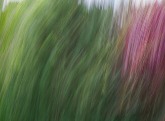 Absichtlichen Kamerabewegung , Intentional Camera Movement, ICM-Fotografie