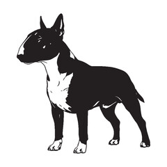 A proud Bull Terrier digital black image, an elegant graphic for your projects - Bull Terrier silhouette - Bull Terrier Vector - Silhouette of Bull Terrier - dog silhouette

