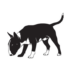 Showcasing a loyal Bull Terrier digital black form, impactful for any design - Bull Terrier silhouette - Bull Terrier Vector - Silhouette of Bull Terrier - dog silhouette

