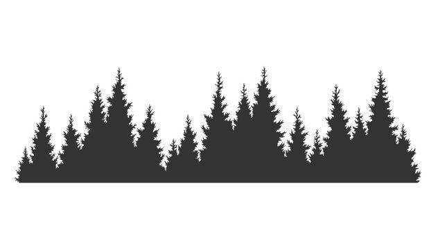 Fir trees silhouette. Coniferous spruce horizontal background pattern, black evergreen woods vector illustration. Beautiful hand drawn panorama of coniferous forest