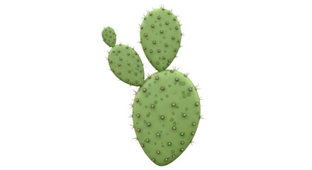 Isolated Cactus Plant