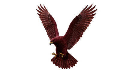 Isolated Red Eagle Spreading Wings