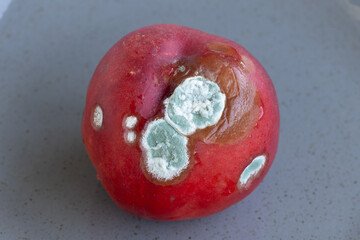 Rotten peach with mold close up
