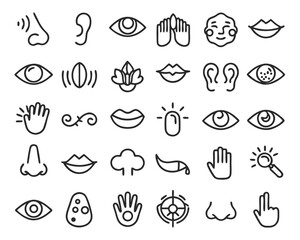 Fototapeta premium A comprehensive collection of graphic elements representing the five human senses including taste sight touch smell and hearing for diverse design applications
