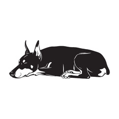 A proud Doberman Pinscher digital black image, an elegant graphic for your projects - Doberman Pinscher silhouette - Doberman Pinscher Vector - Silhouette of Doberman Pinscher - dog silhouette

