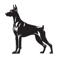 Featuring an alert Doberman Pinscher canine digital black silhouette - Doberman Pinscher silhouette - Doberman Pinscher Vector - Silhouette of Doberman Pinscher - dog vector

