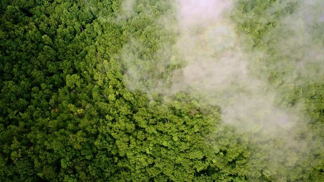 Aerial view drenched in the Smoky Mountains' mood.