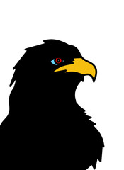 eagle head vector illustration