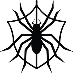 spider on a white background