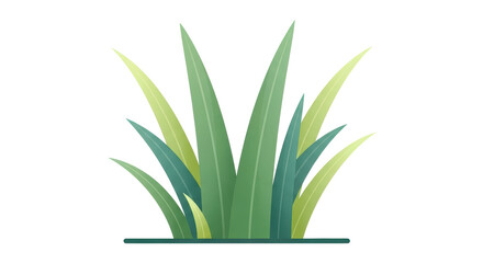 Isolated Green Grass Tuft