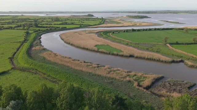 Ralty River Flowing Into River Shannon Through Lush Green Fields In County Clare, Ireland. aerial shot