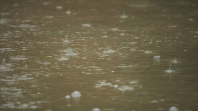 Closeup shot of rain drops falling on a mud water pool