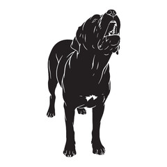 Presenting a defined Mastiff digital black image, with sharp, recognizable lines - Mastiff silhouette - Mastiff Vector - Silhouette of Mastiff - dog vector

