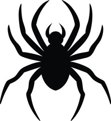 spider vector illustration on transparent background