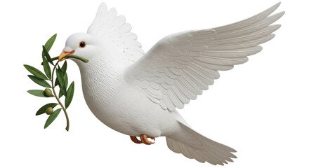 Isolated Dove with Olive Branch