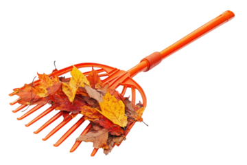 Orange Rake Laden with Autumn s Treasures Vibrant Fall Leaves Collected for Seasonal Yard Work and