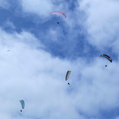 plusieurs parapentes